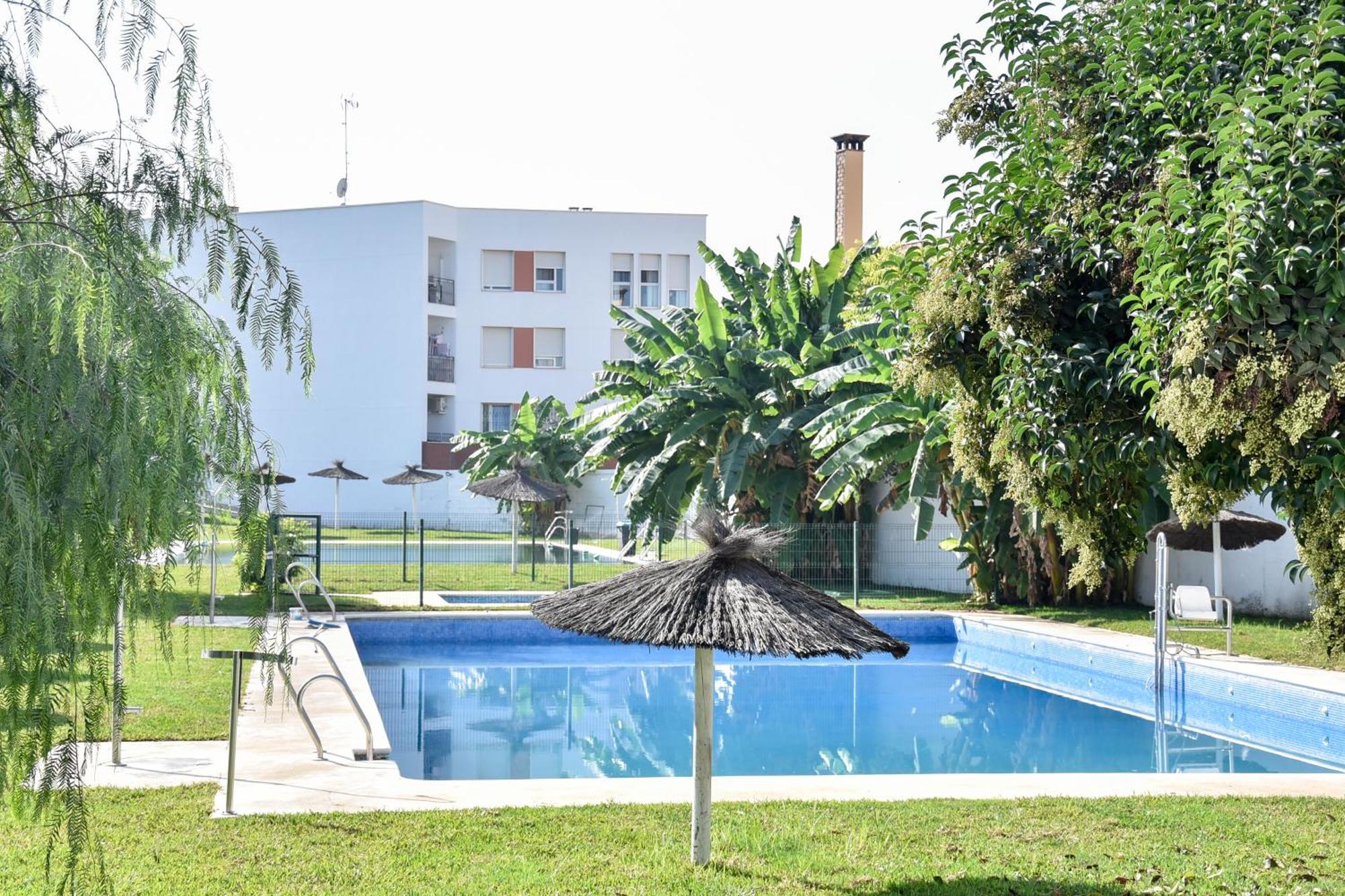 New Premium Apartment - Free Parking & Pools La Algaba Eksteriør bilde